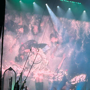 Meet your Posher, Abby